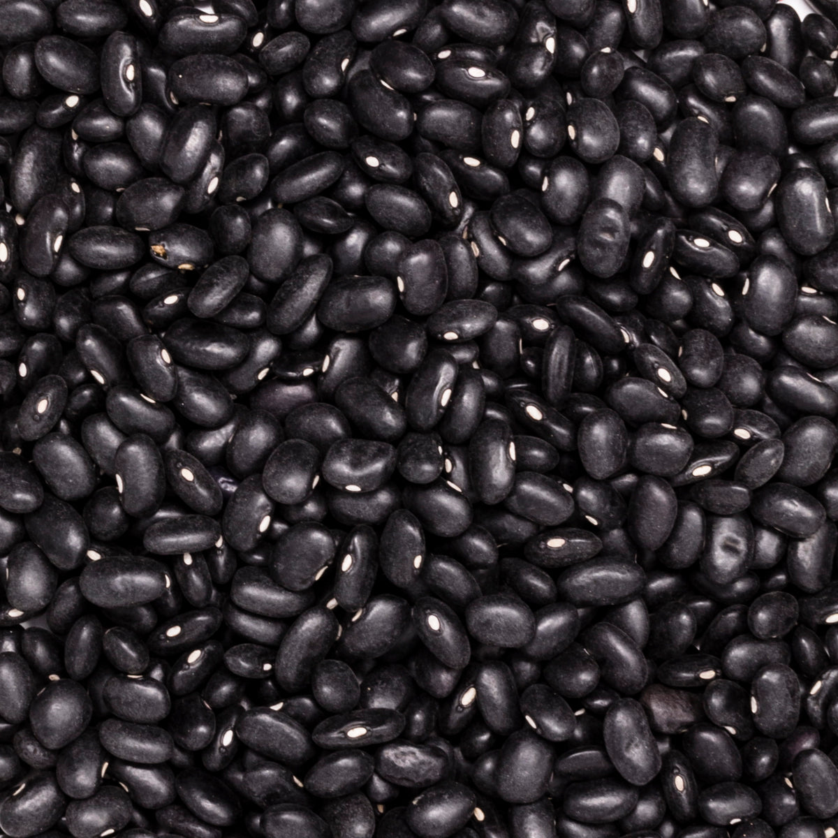 FRIJOL NEGRO BOLA