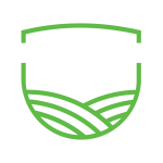 EL MIRADOR LOGO-01